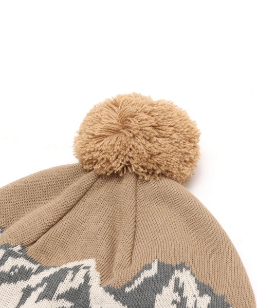THE NORTH FACE(ザノースフェイス)の「THE NORTH FACE Snow Bum Beanie / ザ・ノース・フェイス スノー バム ビーニー(ニットキャップ/ビーニー・メンズ・ホワイト/ベージュ/グレー・FREE)」の7枚目の写真
