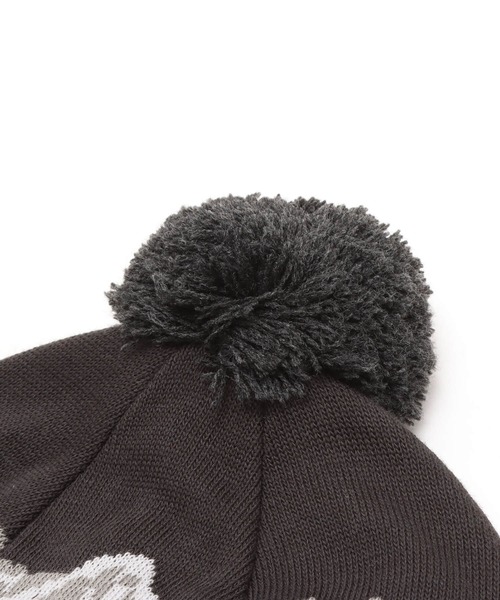 THE NORTH FACE(ザノースフェイス)の「THE NORTH FACE Snow Bum Beanie / ザ・ノース・フェイス スノー バム ビーニー(ニットキャップ/ビーニー・メンズ・ホワイト/ベージュ/グレー・FREE)」の10枚目の写真