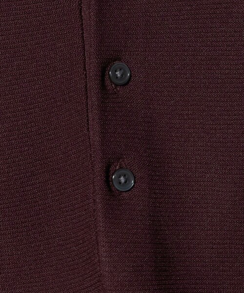 green label relaxing（グリーンレーベルリラクシング）の「【WEB限定】ガーターヘンリー ニット（ニット/セーター・メンズ・ブラック/ワイン/ライトグレー・S/L/XL/M）」の11枚目の写真