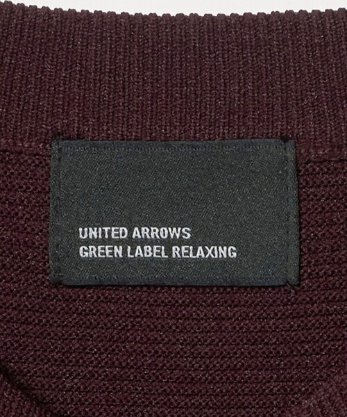 green label relaxing（グリーンレーベルリラクシング）の「【WEB限定】ガーターヘンリー ニット（ニット/セーター・メンズ・ブラック/ワイン/ライトグレー・S/L/XL/M）」の19枚目の写真