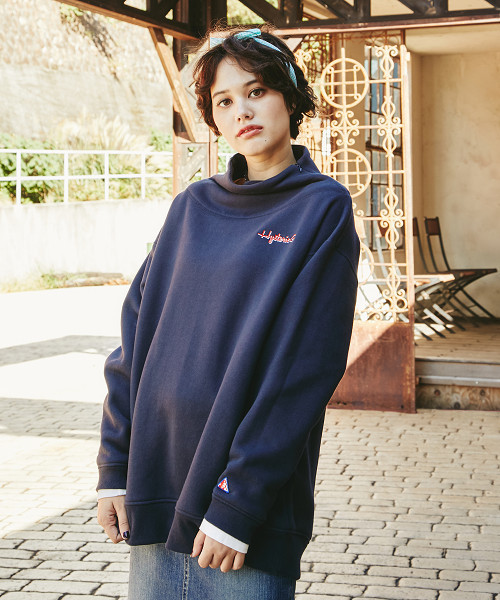 HYSTERIC GLAMOUR（ヒステリックグラマー）の「HYS G刺繍 SW