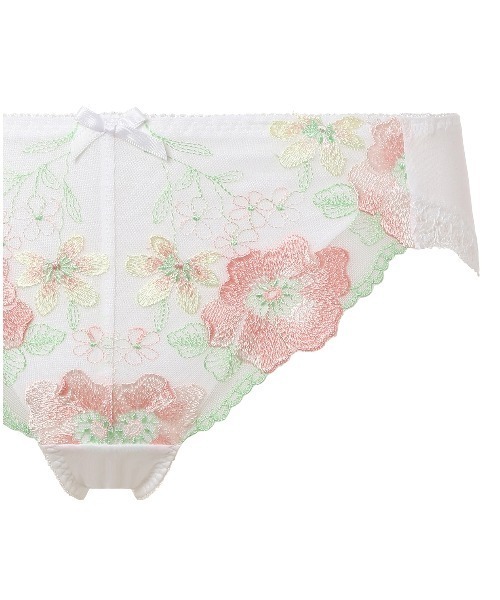 Triumph(トリンプ)の「トリンプ AC006 レギュラーショーツ 37-1 Hikini 37 Y0 S6 RL1(ショーツ・レディース・ブルー/グリーン/ホワイト・M/L)」の12枚目の写真