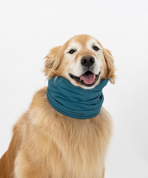 ネックウォーマー L/中型犬・大型犬（その他ペットグッズ）｜MANDARINE