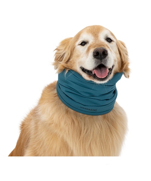 ☆専用☆〖美品〗テレサカンビ スヌード 犬 ネックウォーマー ベージュ 完売 セール】ネックウォーマー L/中型犬・大型犬（その他ペット