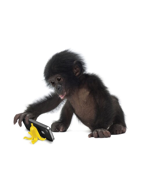 bpr BEAMS（ビーピーアール ビームス ）の「Fred / BANANA STAND（スマホグッズ・レディース・その他・ONE SIZE）」の2枚目の写真