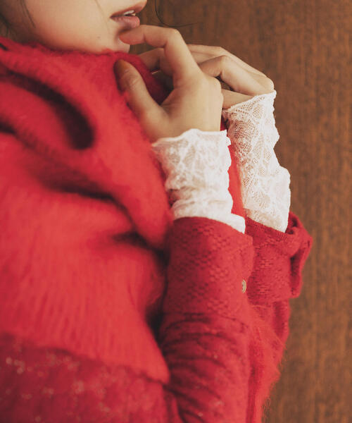 N.(N. Natural Beauty Basic)(エヌエヌナチュラルビューティーベーシック)の「起毛レースシャツ(シャツ/ブラウス・レディース・オフホワイト/ライトグリーン/レッド・MEDIUM)」の20枚目の写真