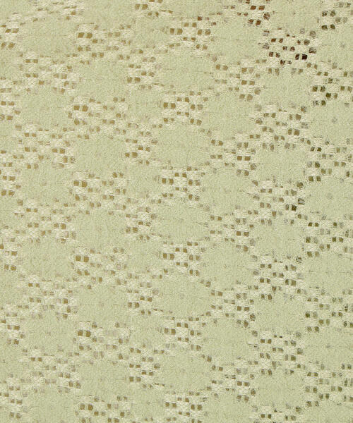 N.(N. Natural Beauty Basic)(エヌエヌナチュラルビューティーベーシック)の「起毛レースシャツ(シャツ/ブラウス・レディース・オフホワイト/ライトグリーン/レッド・MEDIUM)」の18枚目の写真