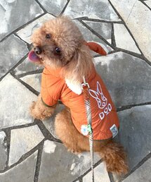 CIAOPANIC TYPY | 【WEB限定】【DOD】【ドッグウェア】サササノフワジャケ(ペットウェア)