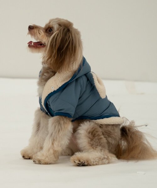 twice ドッグウェア　パジャマ　モモ　付属　トレカ　プロデュース　Ⅲ グッズ TWICE・MOMO、純白パジャマ姿のベッドサイド写真に反響 - エンタメ