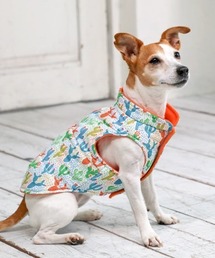 Ɛ(CkgZCJc)̌Ɛ/ʂƂ/T{e_E/(hbOEFA)(ybgEFA)