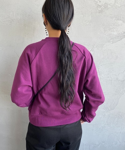 Healthknit（ヘルスニット）の「[HEALTHKNIT/ヘルスニット] 別注 ショート丈 クラシックラグランスリーブスウェット（スウェット・レディース・ブラック/アッシュグレー/ブラウン/パープル/レッド・F）」の14枚目の写真
