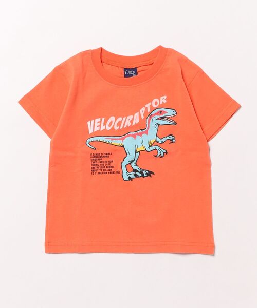 Crescent（クレッセント）の「恐竜プリント半袖Tシャツ（Tシャツ/カットソー・キッズ・ホワイト/レッド/グレー/オレンジ・90/100/110/80/120）」の4枚目の写真