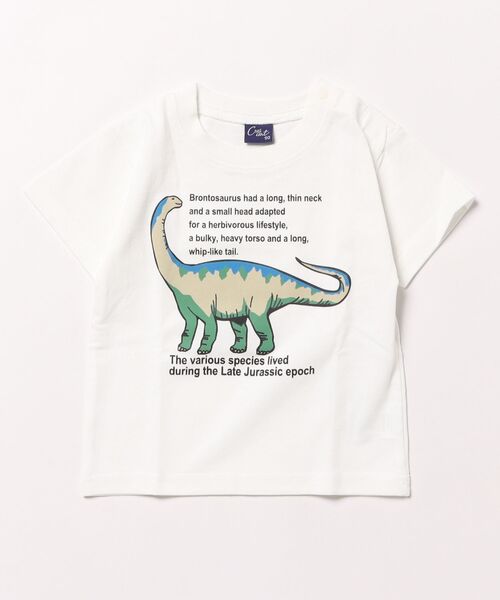 Crescent（クレッセント）の「恐竜プリント半袖Tシャツ（Tシャツ/カットソー・キッズ・ホワイト/レッド/グレー/オレンジ・90/100/110/80/120）」の2枚目の写真