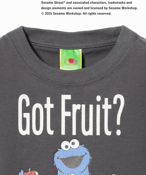 セサミストリート　Tシャツ　フルーツオブザルーム FRUIT OF THE LOOM tシャツ / セサミストリート プリント T