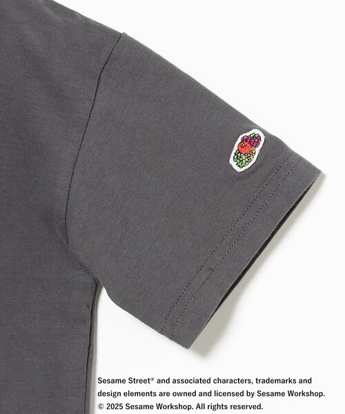 FRUIT OF THE LOOM / セサミストリート プリント Tシャツ ①