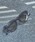 Jugaad14iWK[htH[eB[j́uyꕔʒzjugaad14COVE R[ t@bVpOXiKljvblCr[