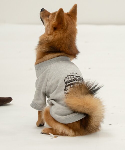 DOD（ディーオーディー）の「【一部店舗限定】【DOD】【ドッグウェア】クルマノタビッティー（ペットウェア・レディース・ブルー/グレー・MEDIUM/SMALL）」の5枚目の写真