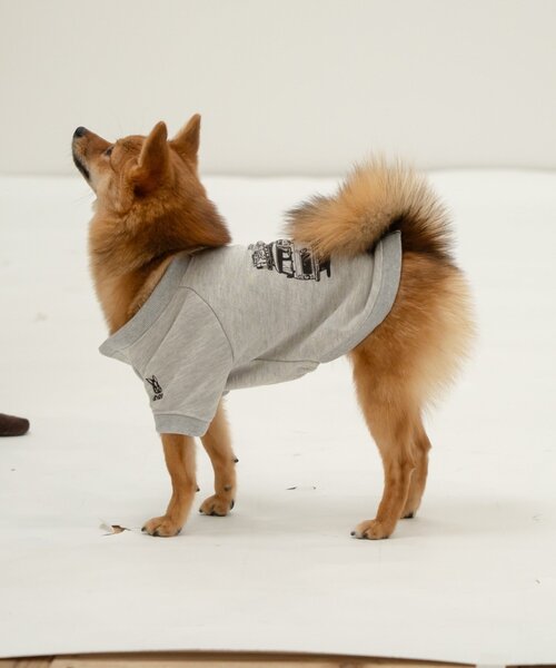 DOD（ディーオーディー）の「【一部店舗限定】【DOD】【ドッグウェア】クルマノタビッティー（ペットウェア・レディース・ブルー/グレー・MEDIUM/SMALL）」の4枚目の写真