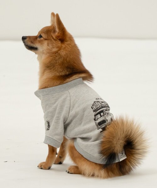 DOD（ディーオーディー）の「【一部店舗限定】【DOD】【ドッグウェア】クルマノタビッティー（ペットウェア・レディース・ブルー/グレー・MEDIUM/SMALL）」の7枚目の写真