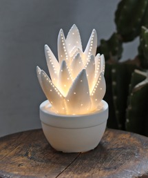 DULTON(�_���g��)��PORCELAIN ALOE LIGHT MAT WHITE/��ド���v �A���G(�Ɩ�)