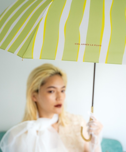 Wpc.(ダブリュピーシー)の「ニュアンスストライプ 雨傘 長傘 Wpc.(長傘・レディース・グリーン/ベージュ/ネイビー・FREE)」の16枚目の写真