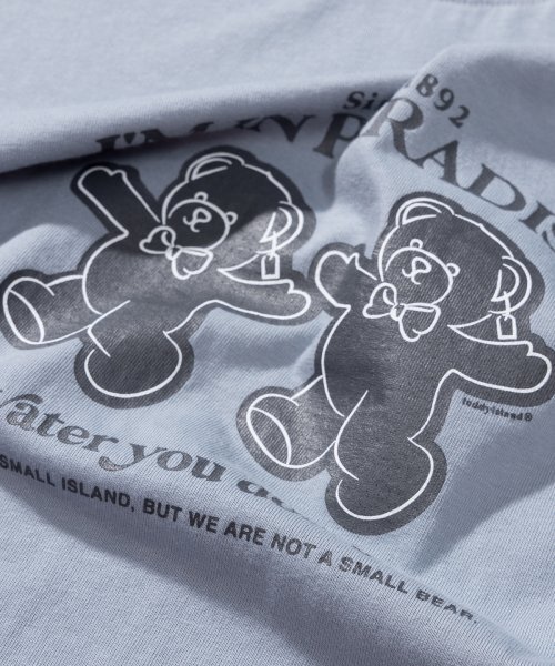 TEDDYISLAND(テディアイランド)の「パラダイス 半袖 スカイブルー(Tシャツ/カットソー・メンズ・その他・MEDIUM/LARGE)」の4枚目の写真
