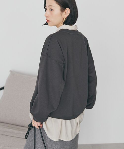 フレンチロゴ裏起毛プルオーバー（スウェット）｜AMERICAN HOLIC