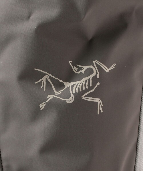 ARC'TERYX（アークテリクス）の「ARC’TERYX / Arro 22 Backpack（バックパック/リュック・メンズ・ブラック/シルバー/グリーン・ONE SIZE）」の6枚目の写真