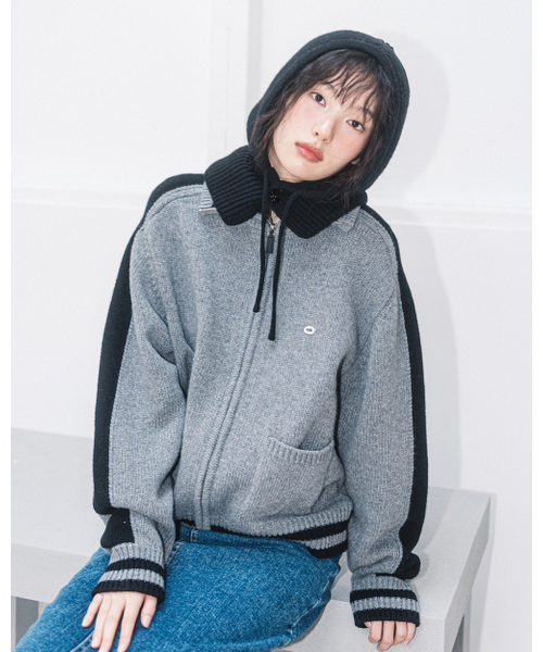 HAVISM（ヘビズム）の「WOOL VARSITY KNIT ZIPUP JACKET(GREY)（ニット/セーター・レディース・その他・ONE SIZE）」の3枚目の写真