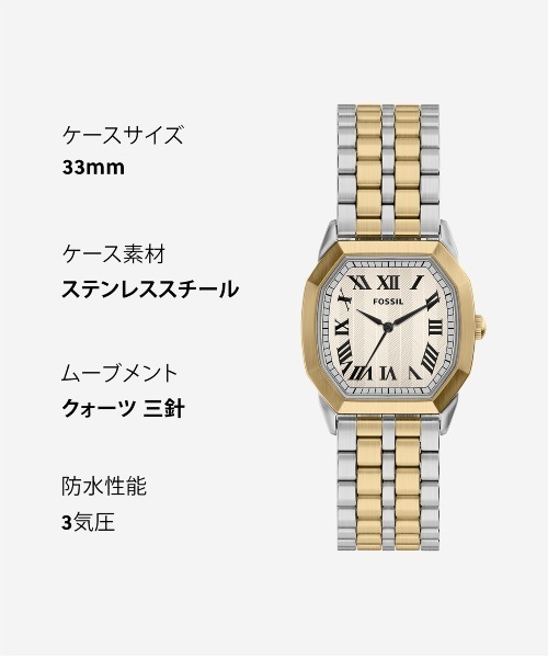 FOSSIL(フォッシル)の「フォッシル 腕時計 メンズ アナログ ステンレス FS6212(アナログ腕時計・メンズ・マルチ・FREE)」の10枚目の写真