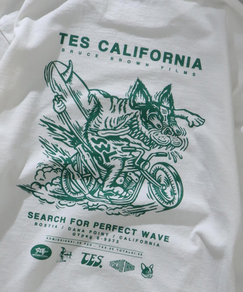 The Endless Summer(エンドレスサマー)の「TES FILM POSTER LONG SLEEVE T-SHIRT / ロンT(Tシャツ/カットソー・メンズ・ブルー/レッド/イエロー/グリーン・MEDIUM/X-LARGE/LARGE/SMALL)」の12枚目の写真