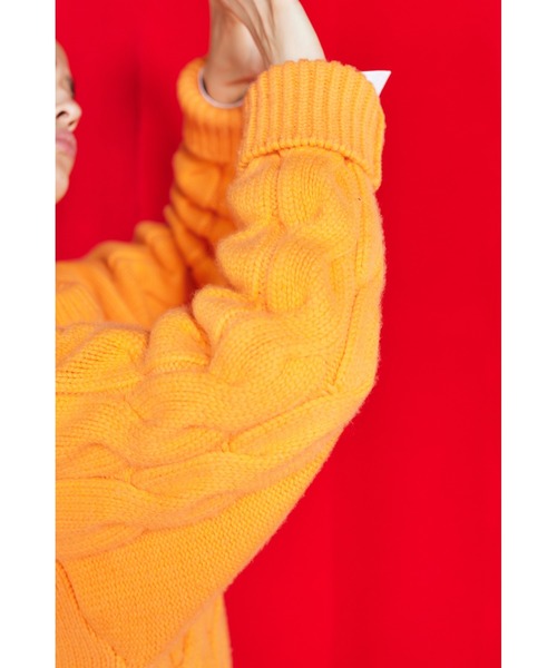 ENFOLD（エンフォルド）の「ケーブル Vase P.O（ニット/セーター