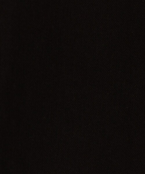 JAMES PERSE（ジェームスパース）の「コットンブレンドテリー カーゴパンツ MWCT1412（カーゴパンツ・メンズ・ブラック/ベージュ・1/3/2/0）」の12枚目の写真