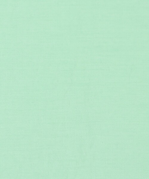 NOLLEY’S（ノーリーズ）の「エアリーショートシャツ（シャツ/ブラウス・レディース・ブラウン/ミント/ホワイト系その他4・38）」の16枚目の写真