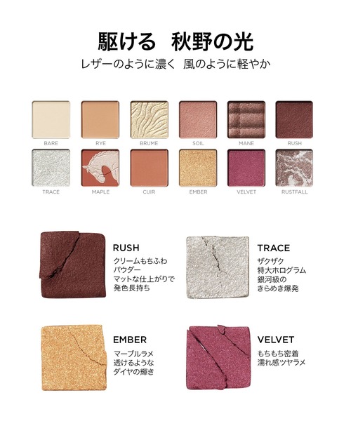 エクスプローラ 12色動物アイシャドウパレット 【オータムチェスナット