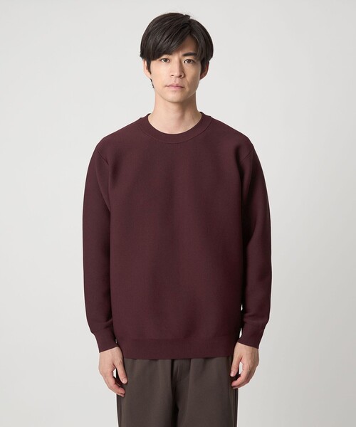 green label relaxing（グリーンレーベルリラクシング）の「【WEB限定】ガータークルー ニット（ニット/セーター・メンズ・ブラック/ワイン/ライトグレー・XL/L/S/M）」の7枚目の写真