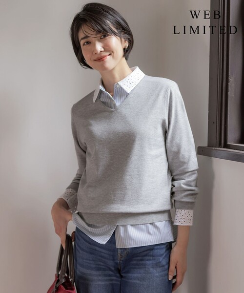 J.PRESS(ジェイプレス)の「【WEB限定・人気定番アイテム・シーンレスに活躍】PRINCE Vネック ニット(ニット/セーター・レディース・ベージュ系/ブラック系/ダークブラウン系/ピーコックグリーン系/ローズ系/ライトグレー系/ホワイト系・MEDIUM/LARGE)」の3枚目の写真