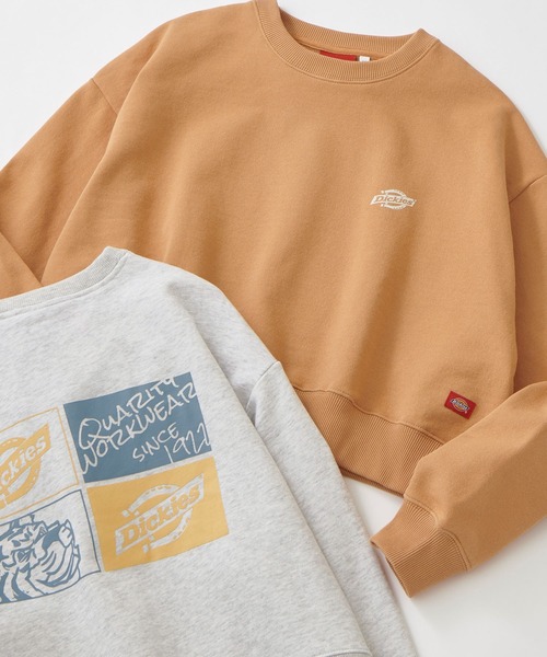 Dickies(ディッキーズ)の「Dickies/ディッキーズ 裏毛グラフィックプリントスウェット(スウェット・レディース・オレンジ/ブルー/グリーン/オートミール/ベージュ系2/ベージュ系3・M/L)」の12枚目の写真