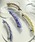tone�i�g�[���j�́u�yKuKuLu TOKYO�zacrylic crushed pearl valletta�i�o���b�^/�w�A�N���b�v�j�v�b�O���[�n���̑�