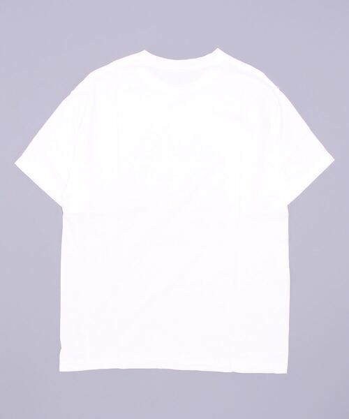 MANASTASH（マナスタッシュ）の「MANASTASH/マナスタッシュ　RIDGE SHORT SLEEVE TEE（Tシャツ/カットソー・メンズ・ライトグレー/ホワイト・LARGE/X-LARGE/MEDIUM）」の9枚目の写真
