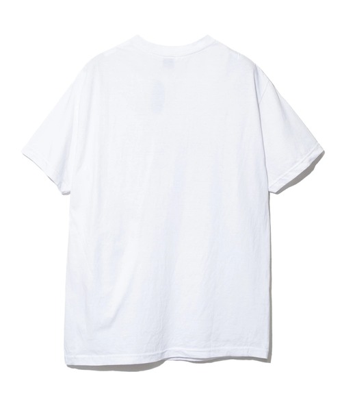 MANASTASH（マナスタッシュ）の「MANASTASH/マナスタッシュ　RIDGE SHORT SLEEVE TEE（Tシャツ/カットソー・メンズ・ライトグレー/ホワイト・LARGE/X-LARGE/MEDIUM）」の8枚目の写真