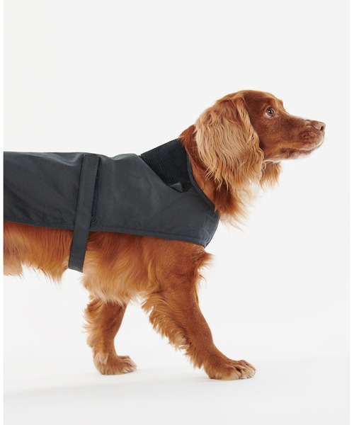 Barbour（バブアー）の「ワックスコットンドッグコート（ペットウェア