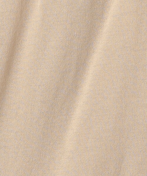JANE SMITH / JOHN SMITH(ジェーンスミスジョンスミス)の「<JANE SMITH>シアーカットソー プルオーバー(Tシャツ/カットソー・レディース・ベージュ・38)」の4枚目の写真