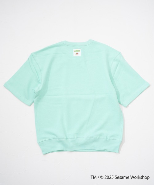 FRUIT OF THE LOOM(フルーツオブザルーム)の「SESAME STREET×FTL ハーフスリーブ甘編 / セサミ / プルオーバー(スウェット・メンズ・ミント/パープル・S/M/L)」の6枚目の写真