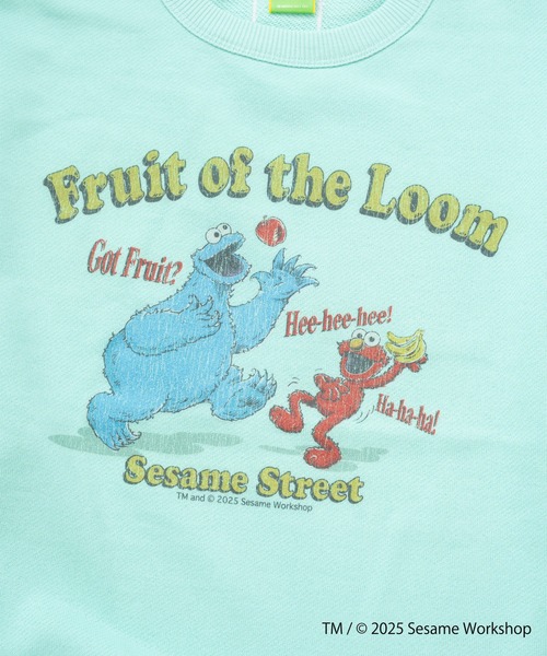 FRUIT OF THE LOOM(フルーツオブザルーム)の「SESAME STREET×FTL ハーフスリーブ甘編 / セサミ / プルオーバー(スウェット・メンズ・ミント/パープル・S/M/L)」の8枚目の写真