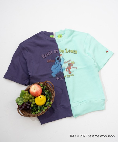 FRUIT OF THE LOOM(フルーツオブザルーム)の「SESAME STREET×FTL ハーフスリーブ甘編 / セサミ / プルオーバー(スウェット・メンズ・ミント/パープル・S/M/L)」の9枚目の写真