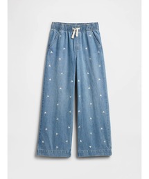 GAP(Mbv)̃nCCY vI Chfj (LbY)(fjpc)