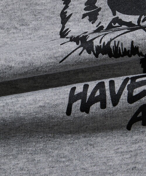 FREAK'S STORE(フリークスストア)の「限定展開 KAVU×FREAK'S STORE カブ― 別注 バックプリント クルーネック Tシャツ TIGER(Tシャツ/カットソー・メンズ・ホワイト/グレー/グレイッシュベージュ/ブラック・LARGE/MEDIUM/SMALL)」の14枚目の写真