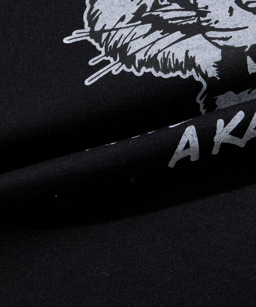 FREAK'S STORE(フリークスストア)の「限定展開 KAVU×FREAK'S STORE カブ― 別注 バックプリント クルーネック Tシャツ TIGER(Tシャツ/カットソー・メンズ・ホワイト/グレー/グレイッシュベージュ/ブラック・LARGE/MEDIUM/SMALL)」の19枚目の写真
