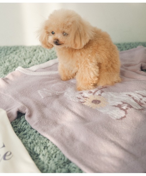 PEACH JOHN(ピーチジョン)の「ライトホイップリーPUPPYPOODLEパジャマ(ルームウェア/パジャマ・レディース・オフホワイト/グレー・ONE SIZE)」の13枚目の写真